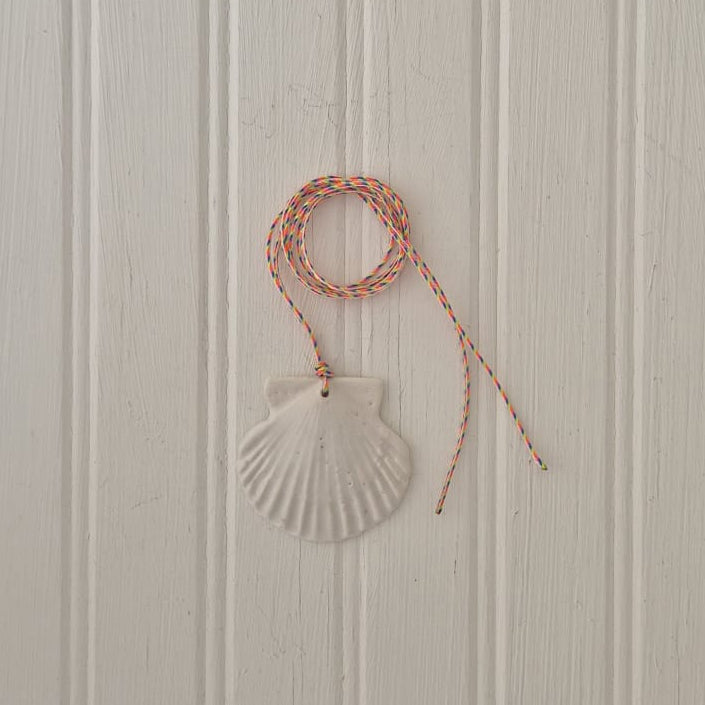 White Shell (wings) with Rainbow Paracord